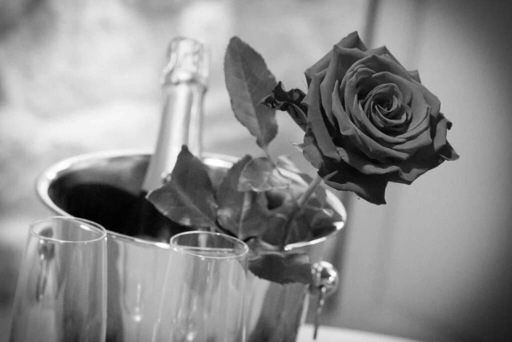 Gite Love Dream - Le Gite Romantique Ger  Esterno foto